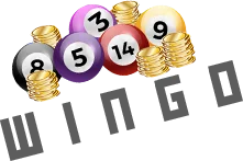 wingo-win 101